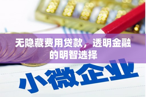 望安无隐藏费用贷款，透明金融的明智选择