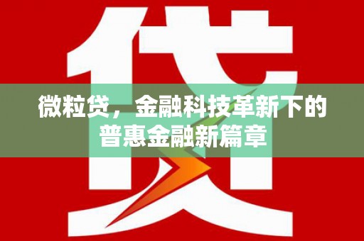 望安微粒贷，金融科技革新下的普惠金融新篇章