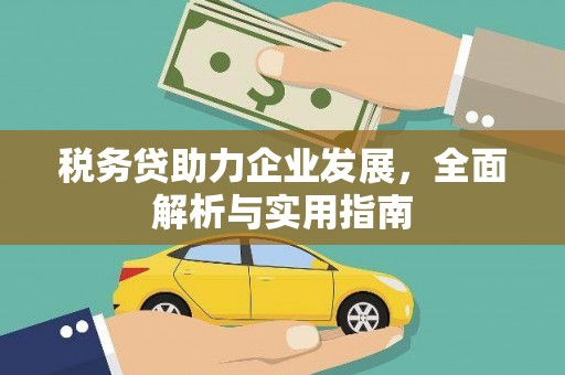 望安税务贷助力企业发展，全面解析与实用指南