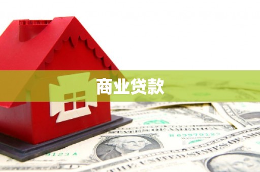 望安商业贷款