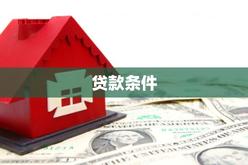 望安贷款条件
