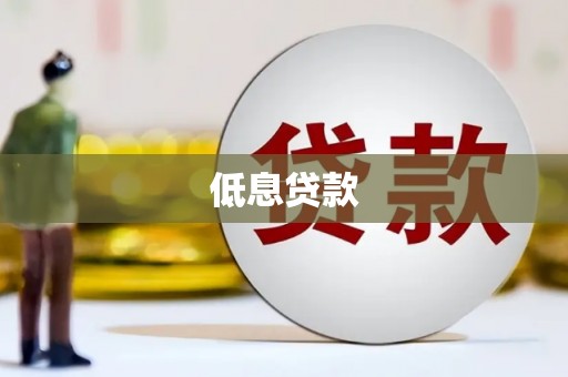 望安低息贷款