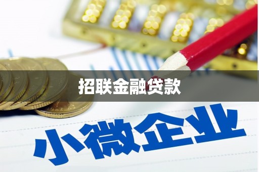 望安招联金融贷款