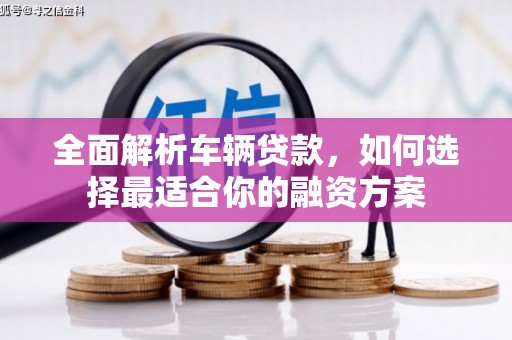 望安全面解析车辆贷款，如何选择最适合你的融资方案