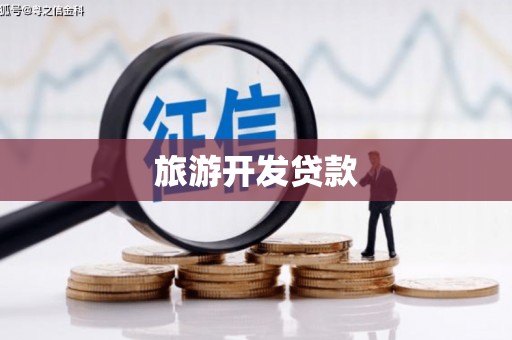 望安旅游开发贷款