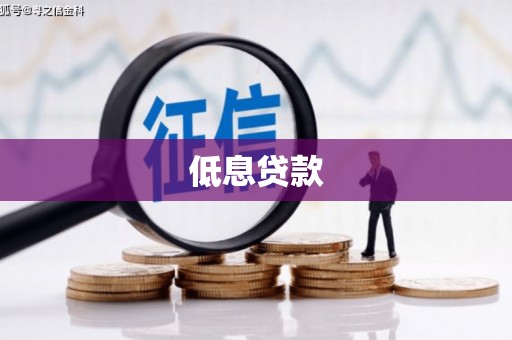 望安低息贷款