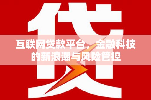 望安互联网贷款平台，金融科技的新浪潮与风险管控