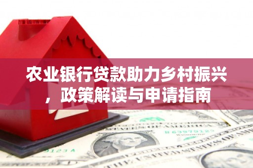望安农业银行贷款助力乡村振兴，政策解读与申请指南
