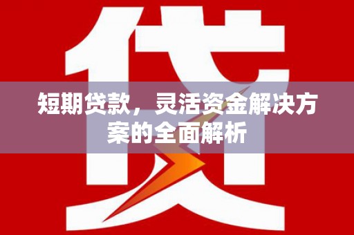 望安短期贷款，灵活资金解决方案的全面解析