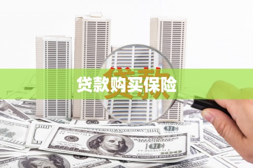 望安贷款购买保险