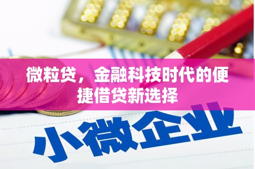 望安微粒贷，金融科技时代的便捷借贷新选择