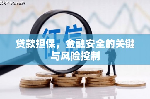 望安贷款担保，金融安全的关键与风险控制