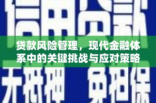 望安贷款风险管理，现代金融体系中的关键挑战与应对策略