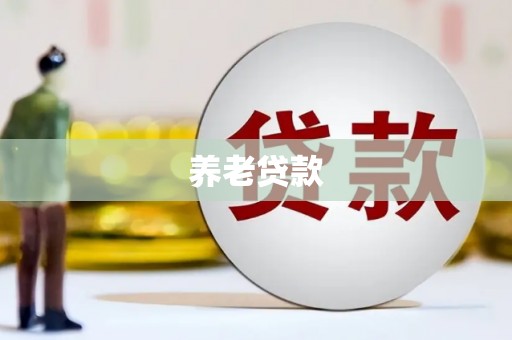 望安养老贷款
