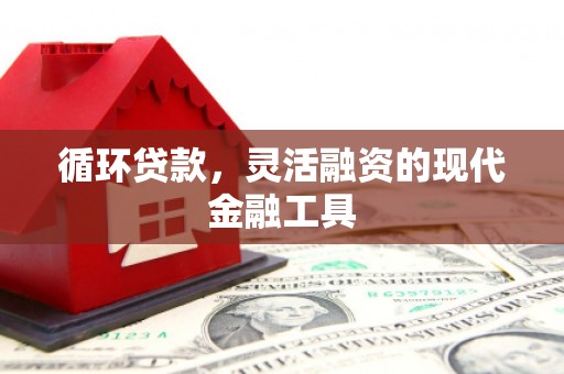 望安循环贷款，灵活融资的现代金融工具