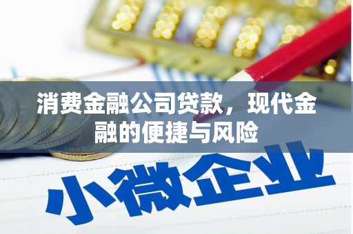 望安消费金融公司贷款，现代金融的便捷与风险
