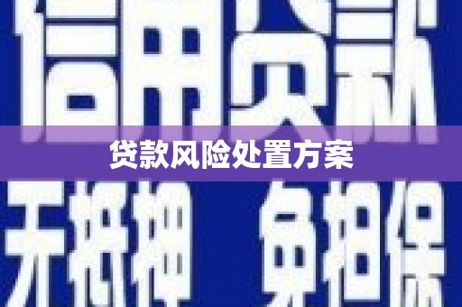 望安贷款风险处置方案