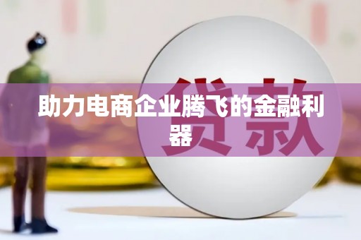 望安助力电商企业腾飞的金融利器
