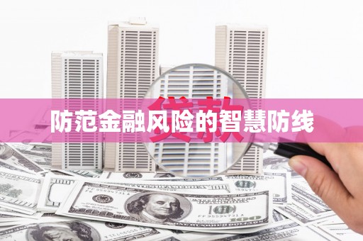 望安防范金融风险的智慧防线