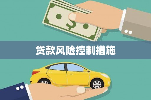 望安贷款风险控制措施