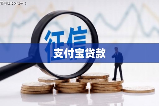 望安支付宝贷款