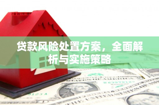 望安贷款风险处置方案，全面解析与实施策略