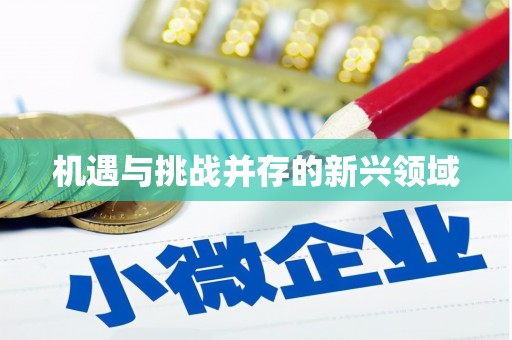 望安机遇与挑战并存的新兴领域