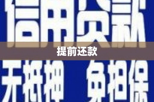 望安提前还款
