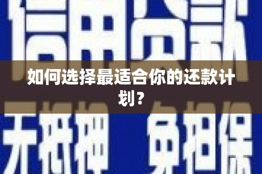 望安如何选择最适合你的还款计划？